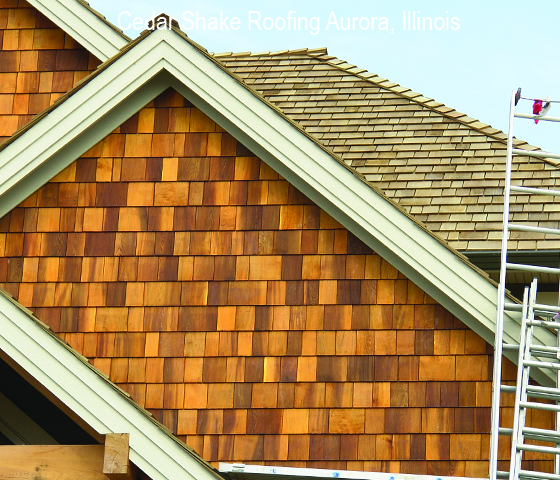 cedar shake shingle roof replacement with cedar shake paneling